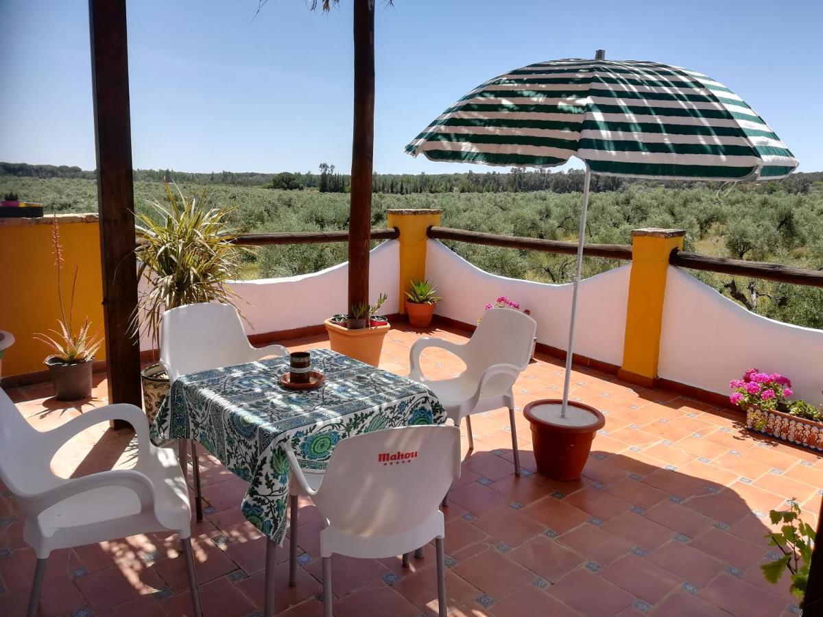 Finca Casa Halcon Альмонте Экстерьер фото