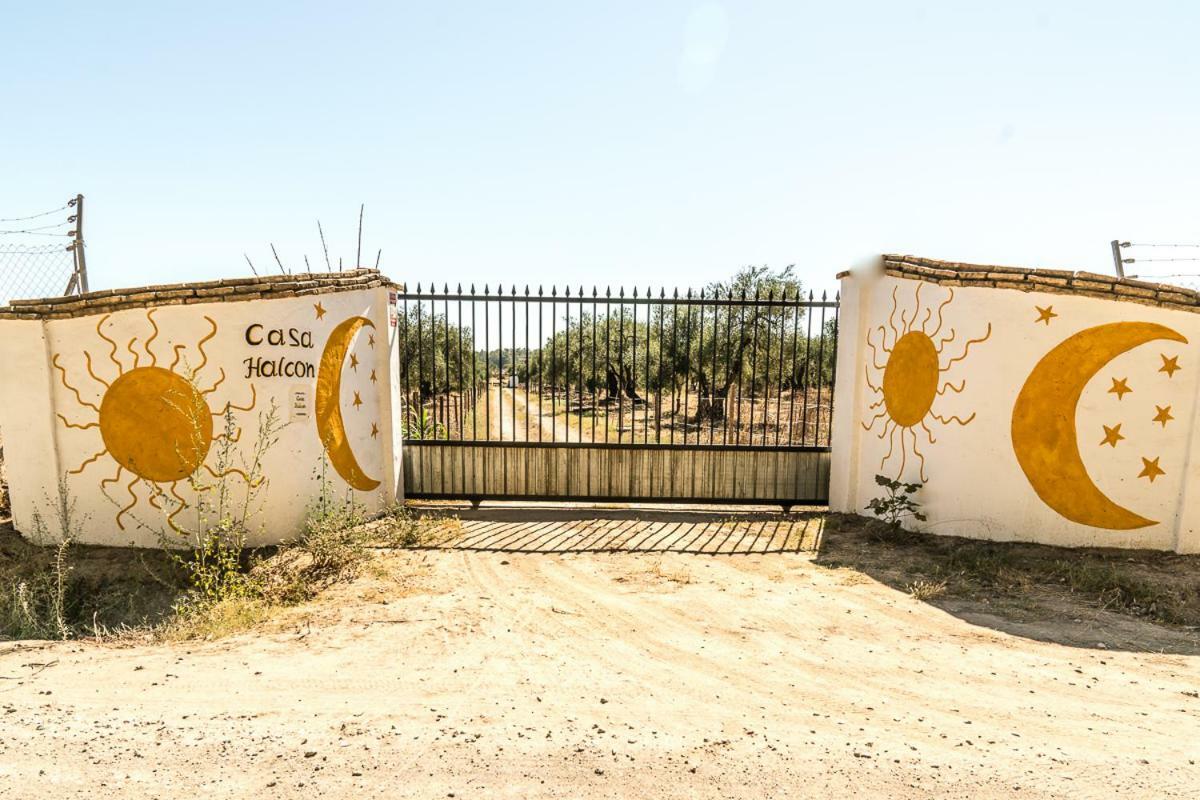 Finca Casa Halcon Альмонте Экстерьер фото